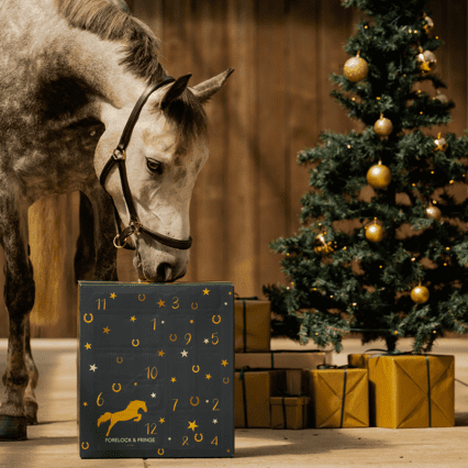 Horse Lover’s Advent Calendar 2025 – Luxurious Surprises for Every Rider